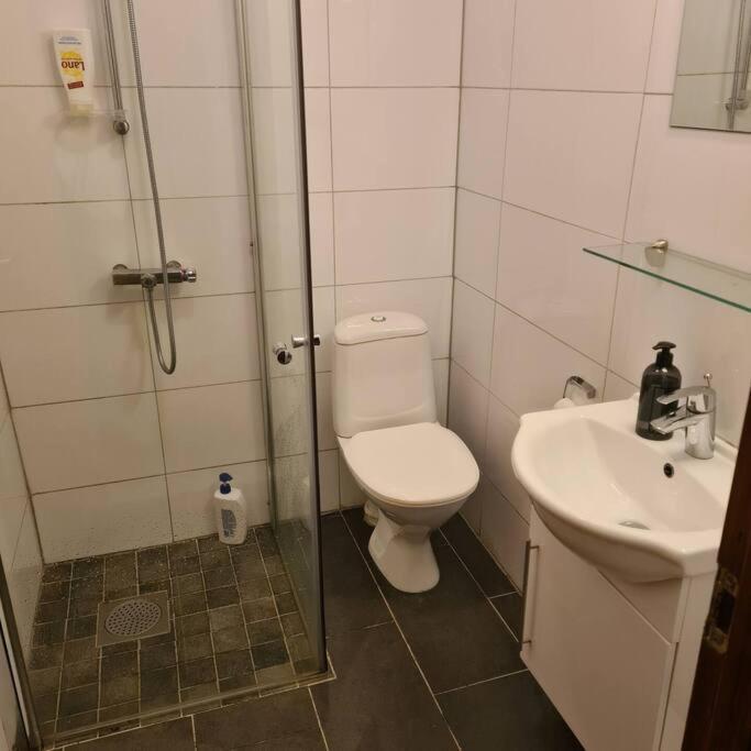 סטרין Lake View Apartment, Oldedalen מראה חיצוני תמונה